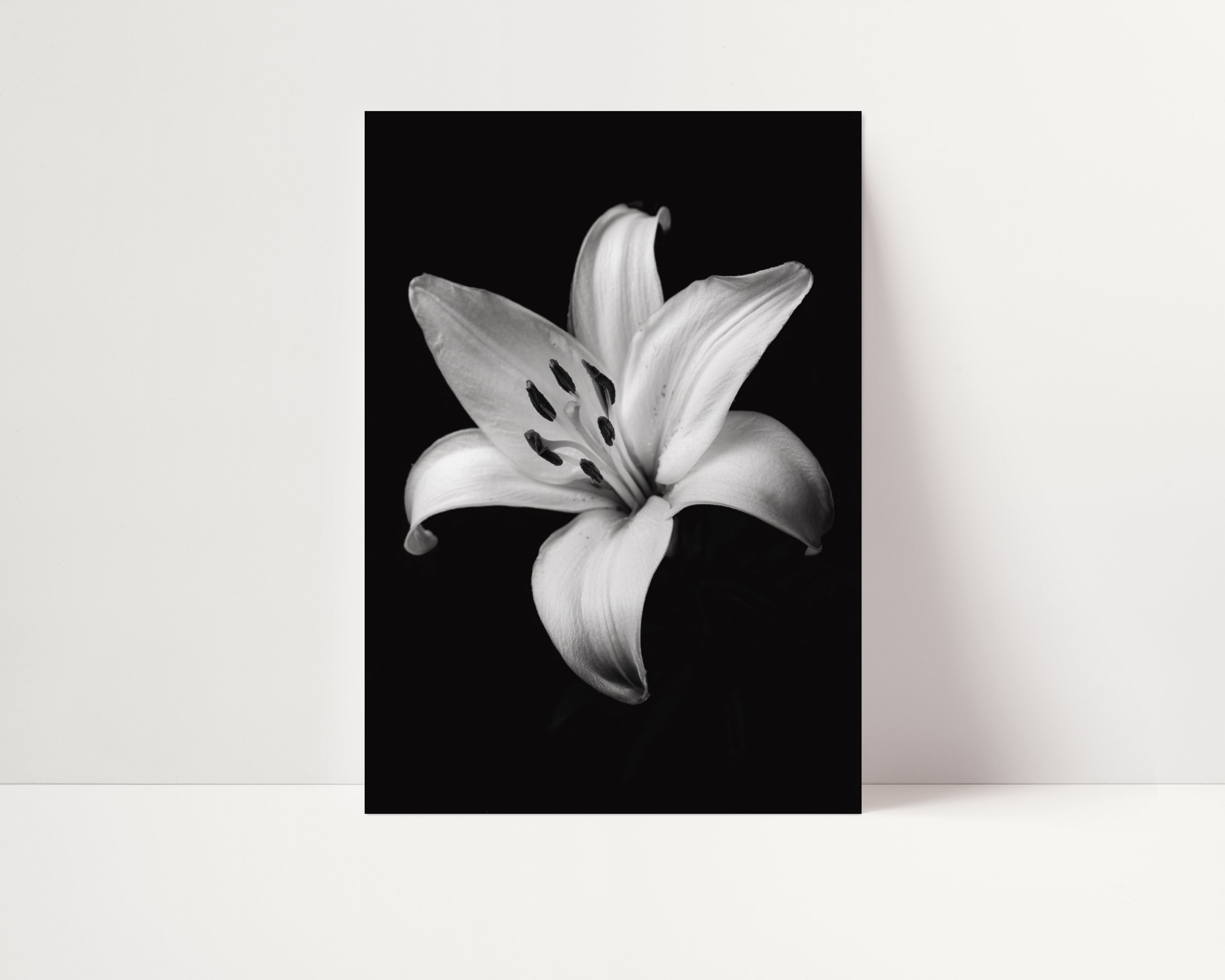 black and white lilies Lovely Lily Floral Black White Prints