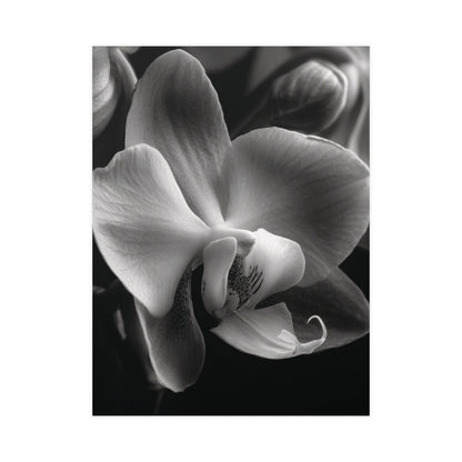 Delicate Orchid I- Black and White Wall Art | Abstract Art Prints | Instant Printable Download or Physical Print