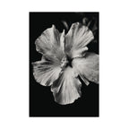 Tropical Bloom - Black and White Wall Art | Floral Art Prints | Instant Printable Download or Physical Print
