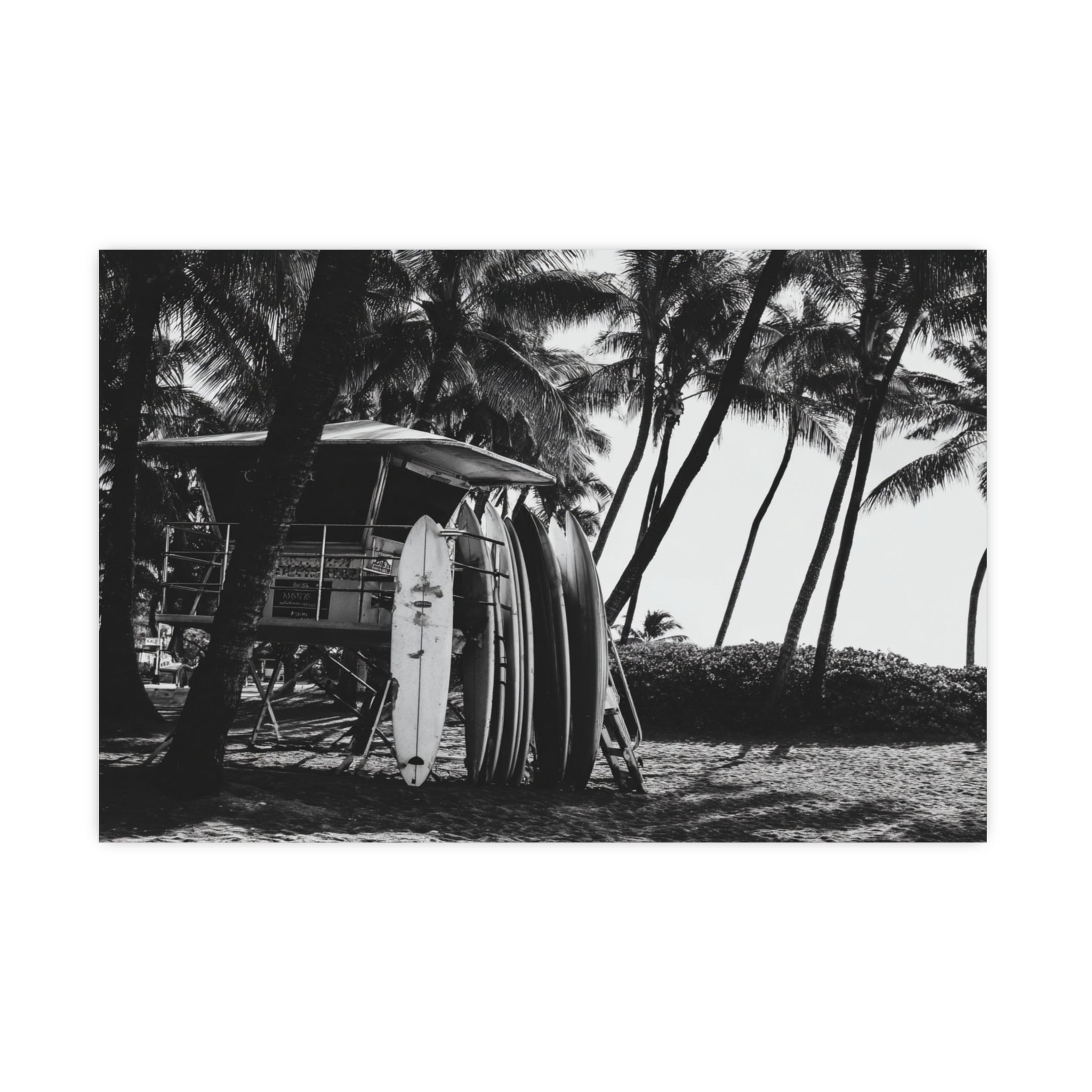 Surfs Up - Black and White Surf Wall Art | Coastal Art Prints | Instant Printable Download or Physical Print