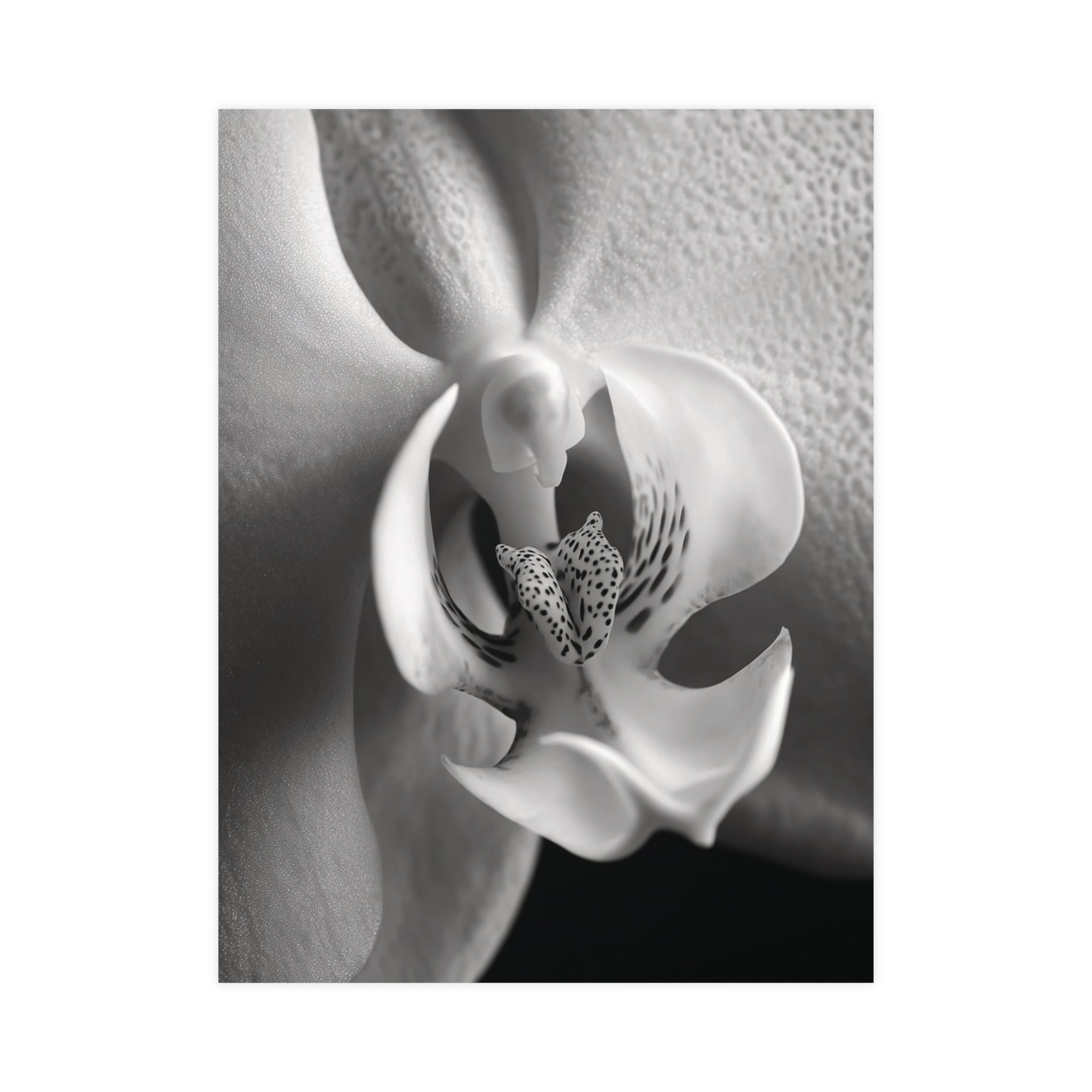 Delicate Orchid II - Black and White Wall Art | Abstract Art Prints | Instant Printable Download or Physical Print