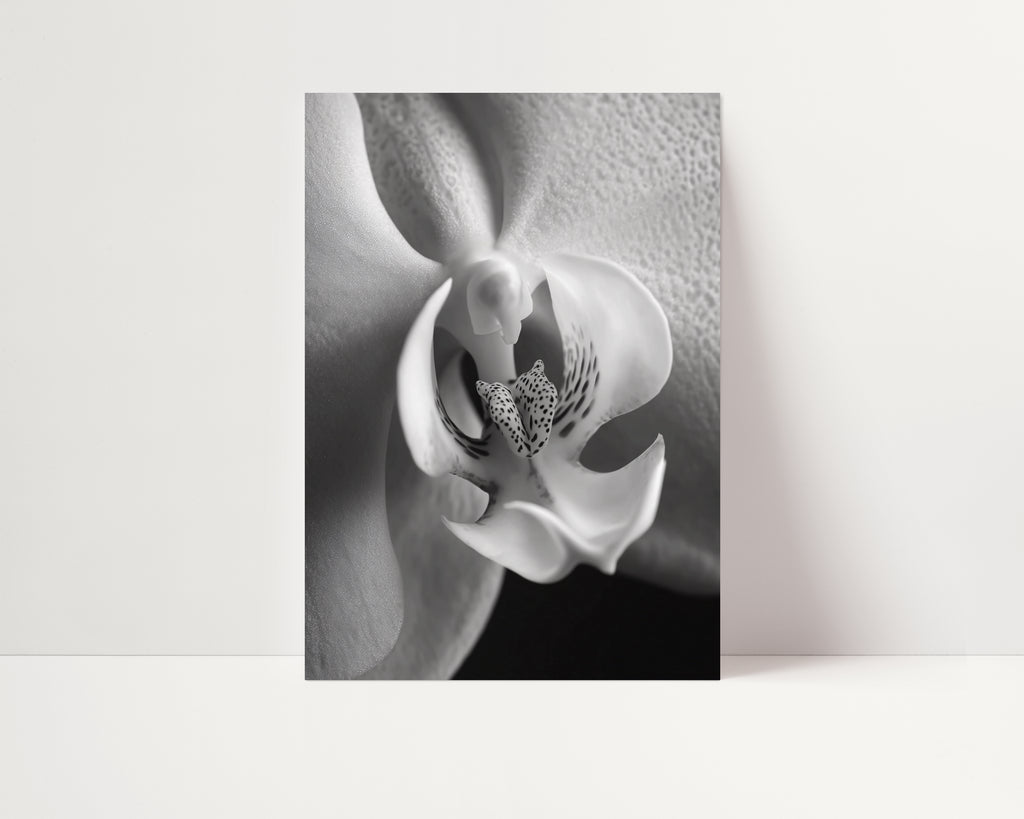 Delicate Orchid II - Black and White Wall Art | Abstract Art Prints | Instant Printable Download or Physical Print