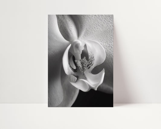Delicate Orchid Part 2 - Black and White Poster Print | Monochrome Wall Art | Digital Download or Physical Print