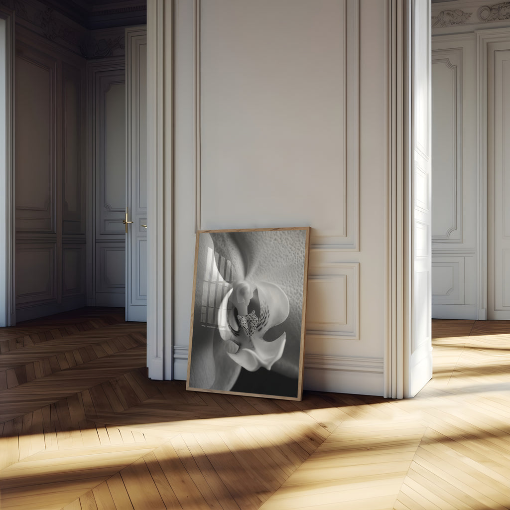 Delicate Orchid II - Black and White Wall Art | Abstract Art Prints | Instant Printable Download or Physical Print