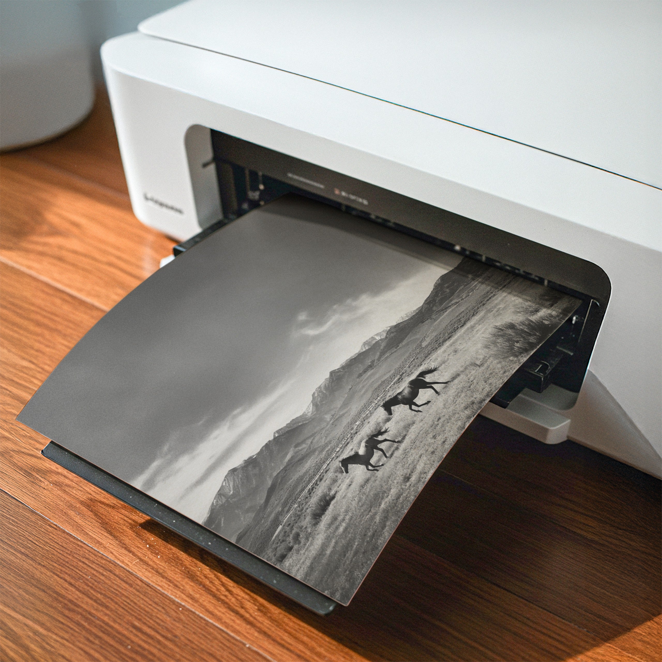black and white poster print  digital download of two horses being printed by at home printer