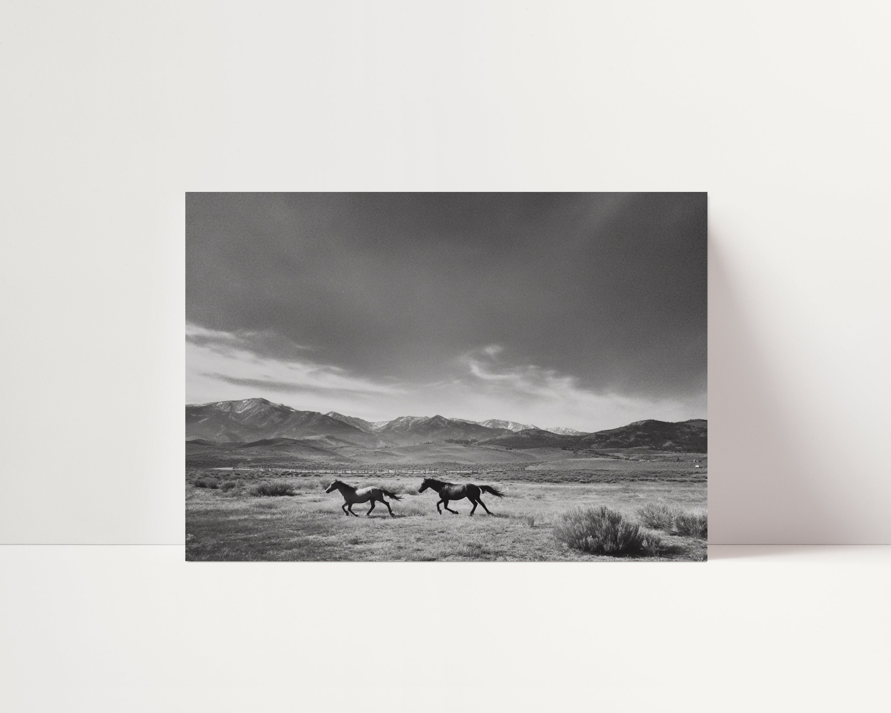 Two horses running in a desert landscape with mountains under a stormy sky.