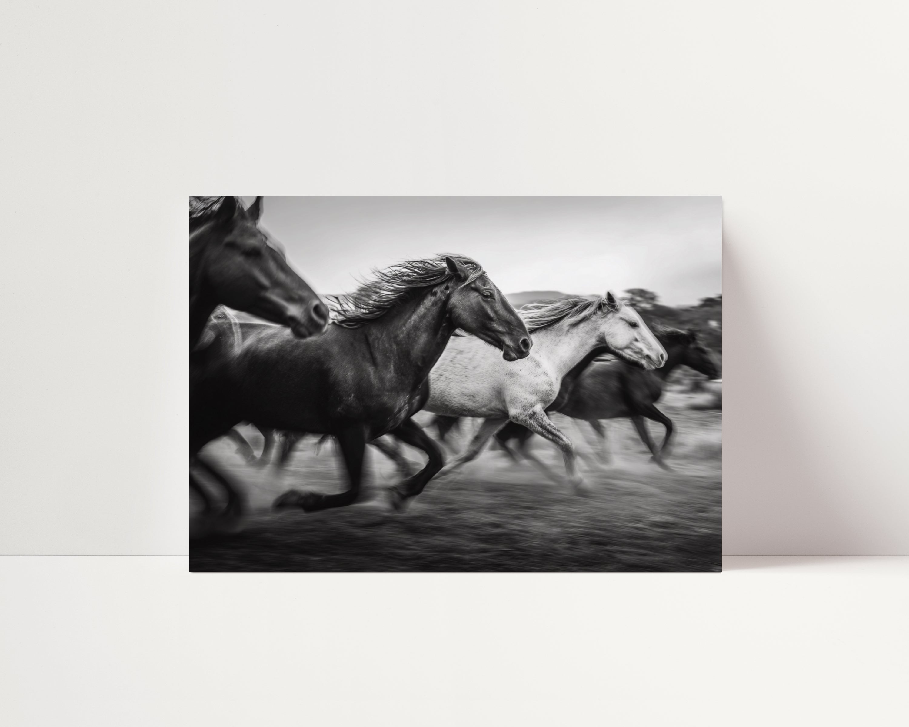 Freedom -  Black and White Wall Art | Western Art Prints | Instant Printable Download or Physical Print