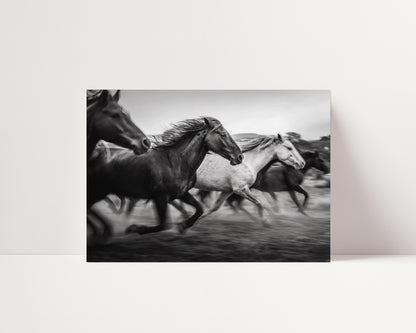 Freedom -  Black and White Wall Art | Western Art Prints | Instant Printable Download or Physical Print
