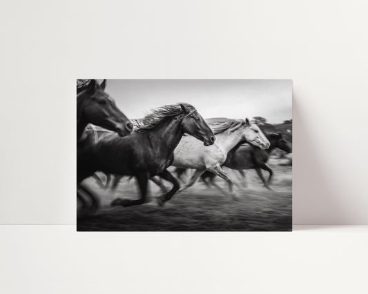 Freedom - Black and White Poster Print | Monochrome Wall Art | Digital Download or Physical Print