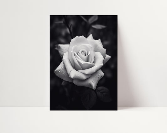 Rugged Rose -  Black and White Poster Print | Monochrome Wall Art | Digital Download or Physical Print