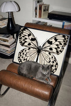 A gray cat lies on a brown leather armchair in front of a large framed butterfly artwork. The room includes a lamp, books, and shelves in the background.