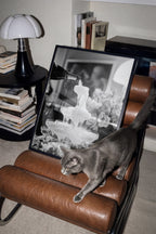 framed black and white champagne shower vingtage wall art leaning on leather brown chair with gray cat brushing by