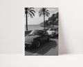 Two classic cars parked by a scenic coastal road with palm trees.