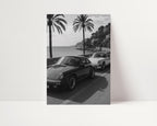 Two classic cars parked by a scenic coastal road with palm trees.