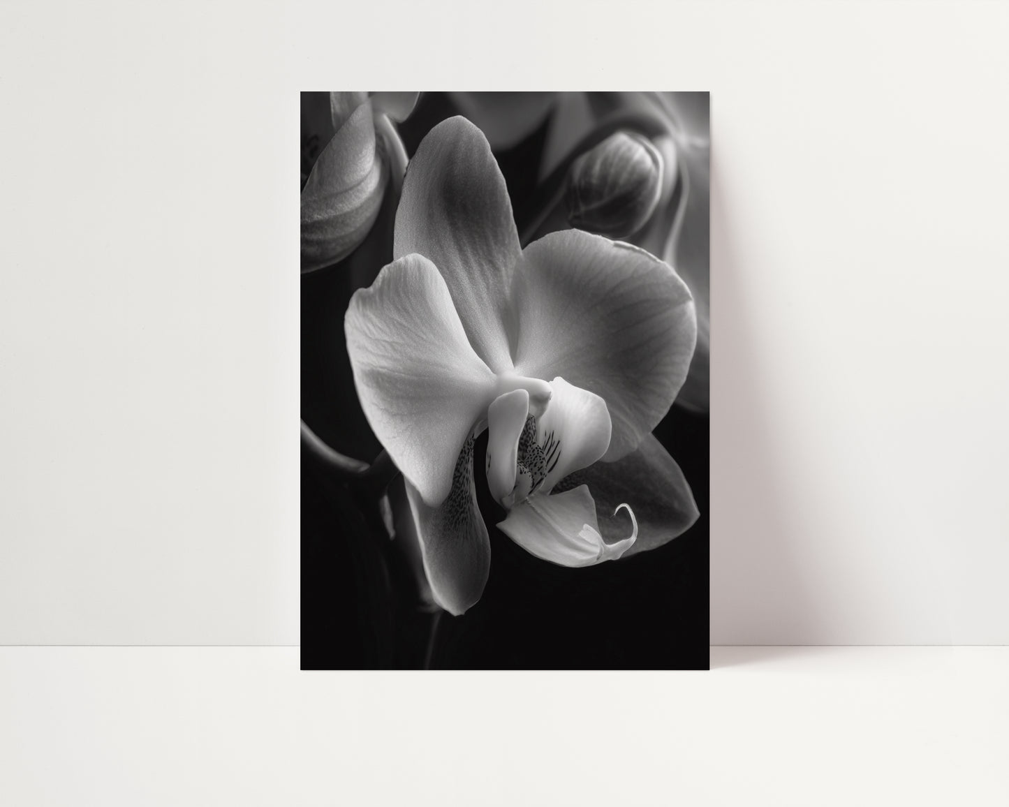 Delicate Orchid Part One - Black and White Poster Print | Monochrome Wall Art | Digital Download or Physical Print
