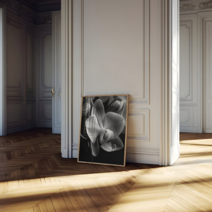 Delicate Orchid I- Black and White Wall Art | Abstract Art Prints | Instant Printable Download or Physical Print