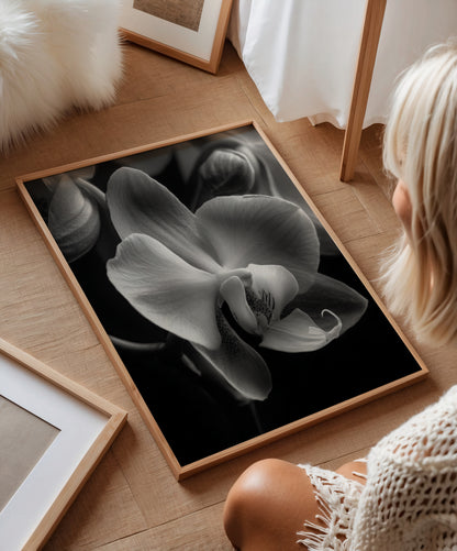 Delicate Orchid I- Black and White Wall Art | Abstract Art Prints | Instant Printable Download or Physical Print
