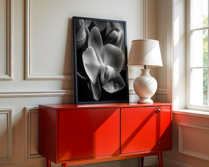 Delicate Orchid I- Black and White Wall Art | Abstract Art Prints | Instant Printable Download or Physical Print