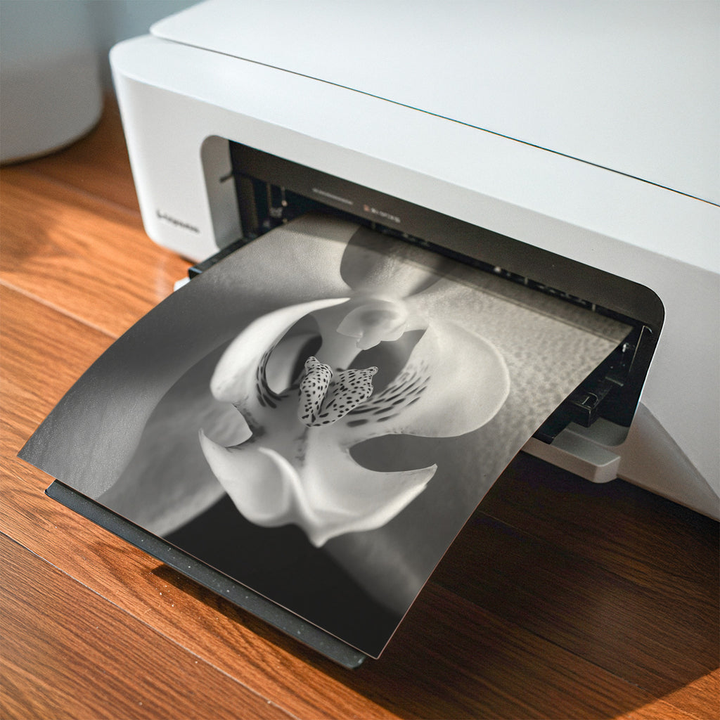 Delicate Orchid II - Black and White Wall Art | Abstract Art Prints | Instant Printable Download or Physical Print