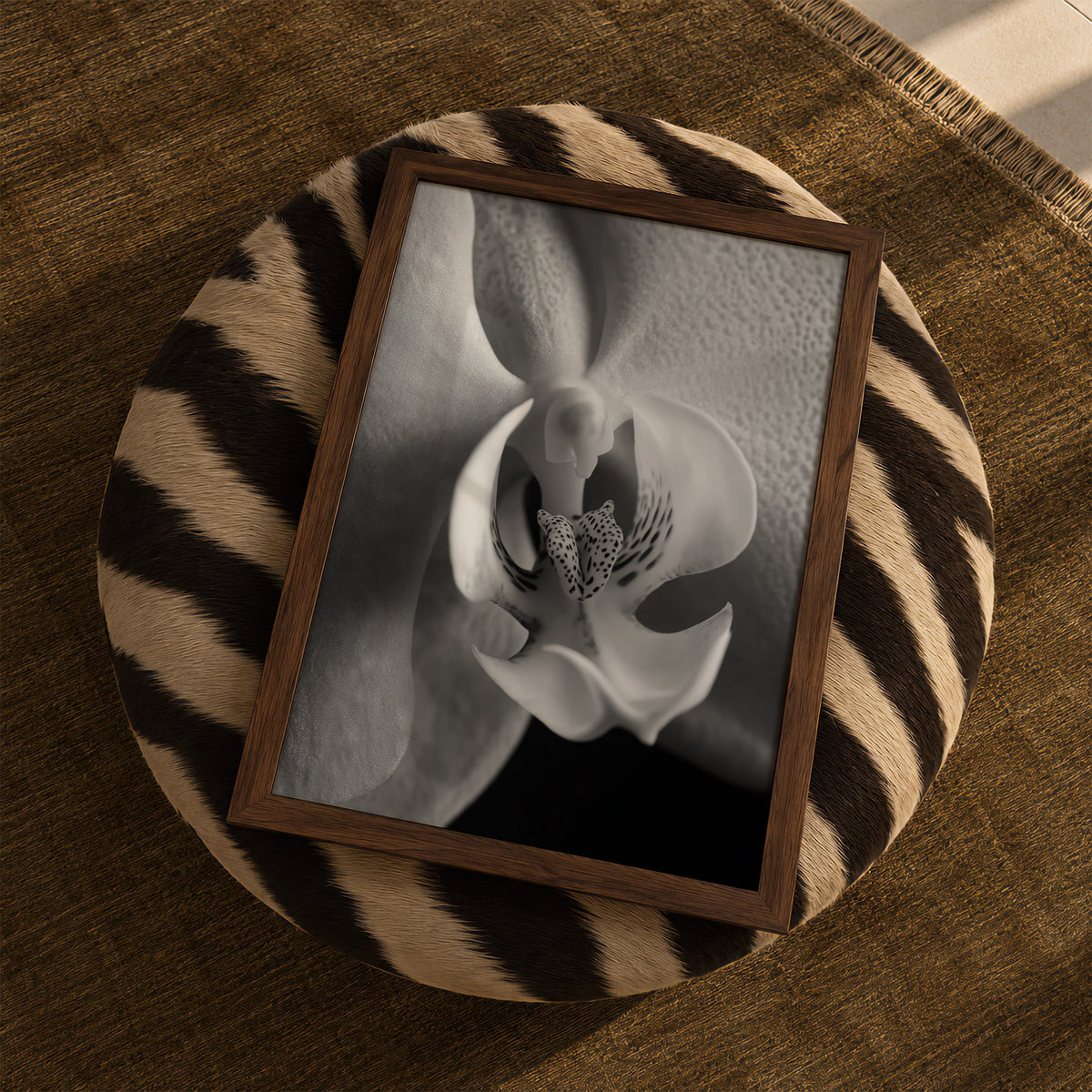 Delicate Orchid II - Black and White Wall Art | Abstract Art Prints | Instant Printable Download or Physical Print