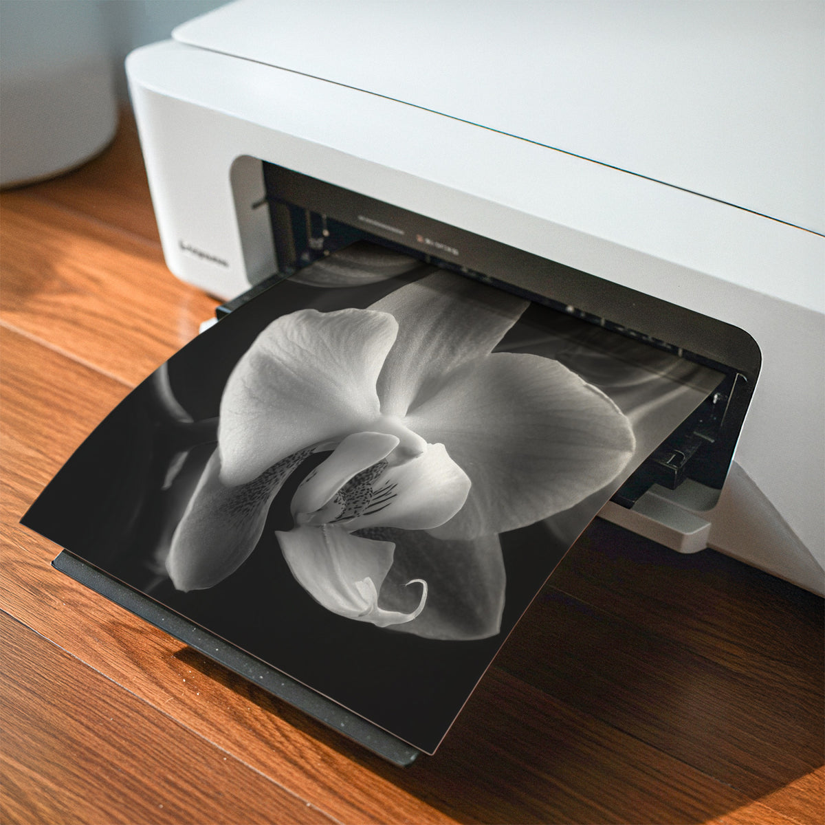 at home printer printing instant digital download of floral poster print