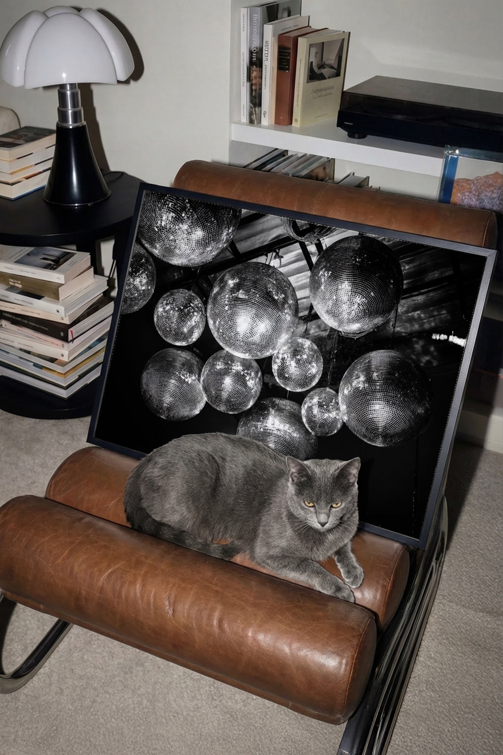 framed black and white disco party disco ball wall art print leaning against chair with a cat sitting in chair