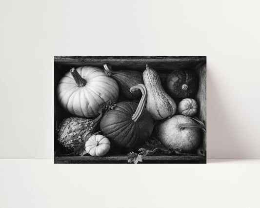 Fall Harvest - Black and White Photography Wall Art Print | Minimalist Monochrome Home Decor Prints