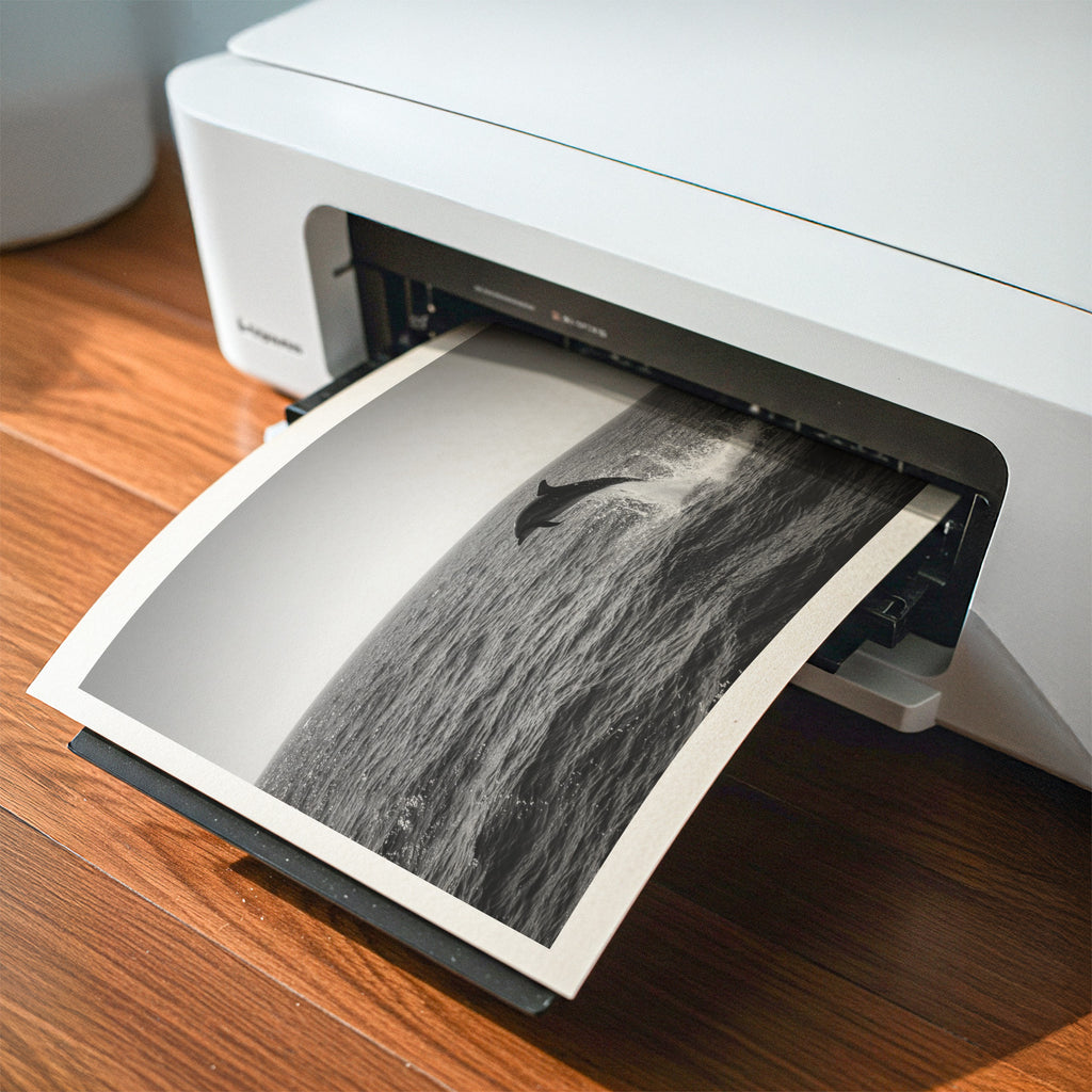 at home printer printing instant digital download black and white coastal print
