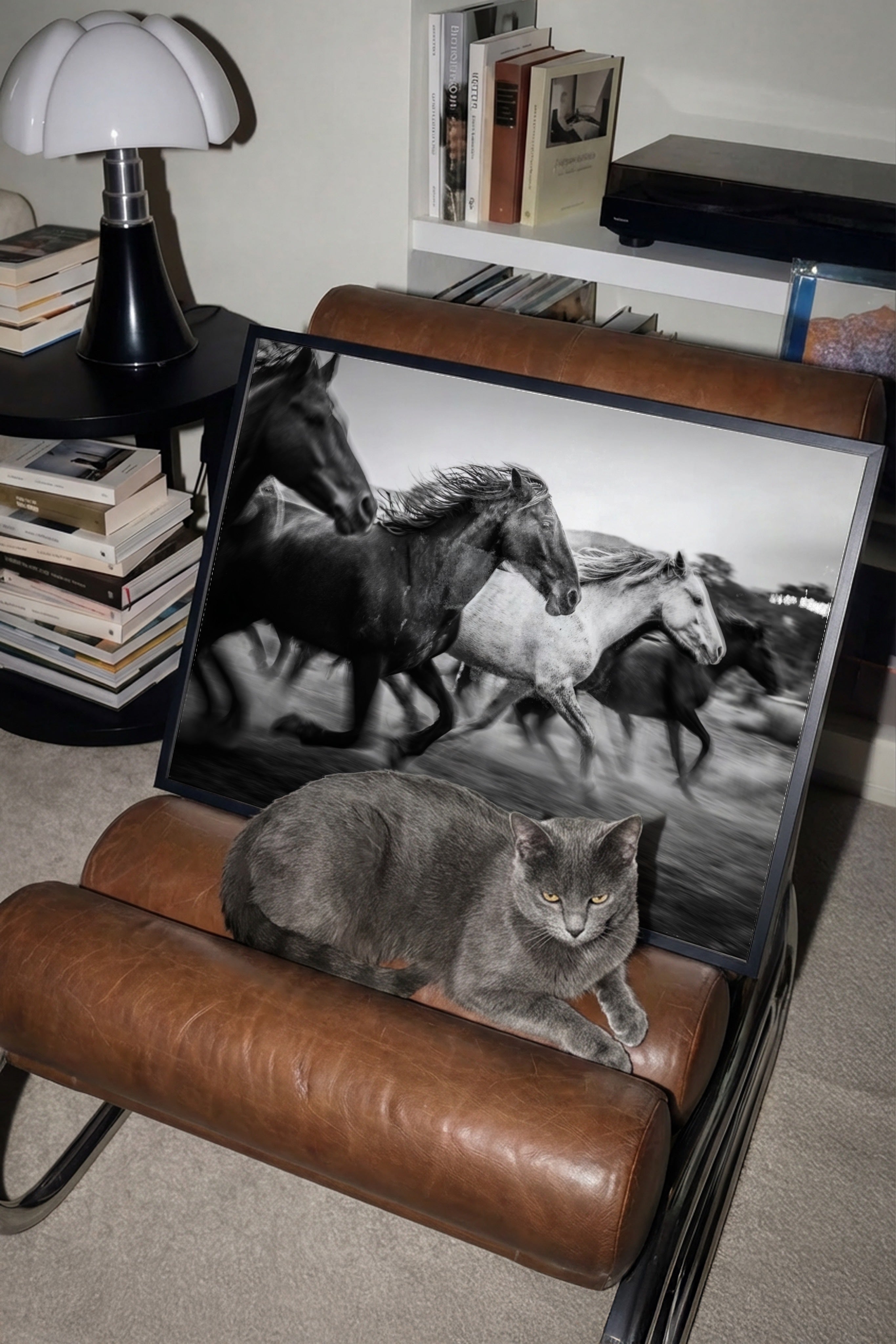 Cat sitting on a brown leather chair next to a large Framed black and white freedom poster print
