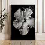 Tropical Bloom - Black and White Wall Art | Floral Art Prints | Instant Printable Download or Physical Print