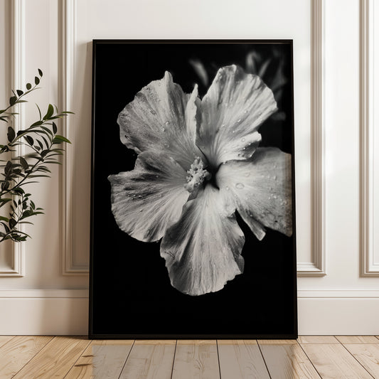 Dew-Kissed Hibiscus - Black and White Poster Print | Monochrome Wall Art | Digital Download or Physical Print