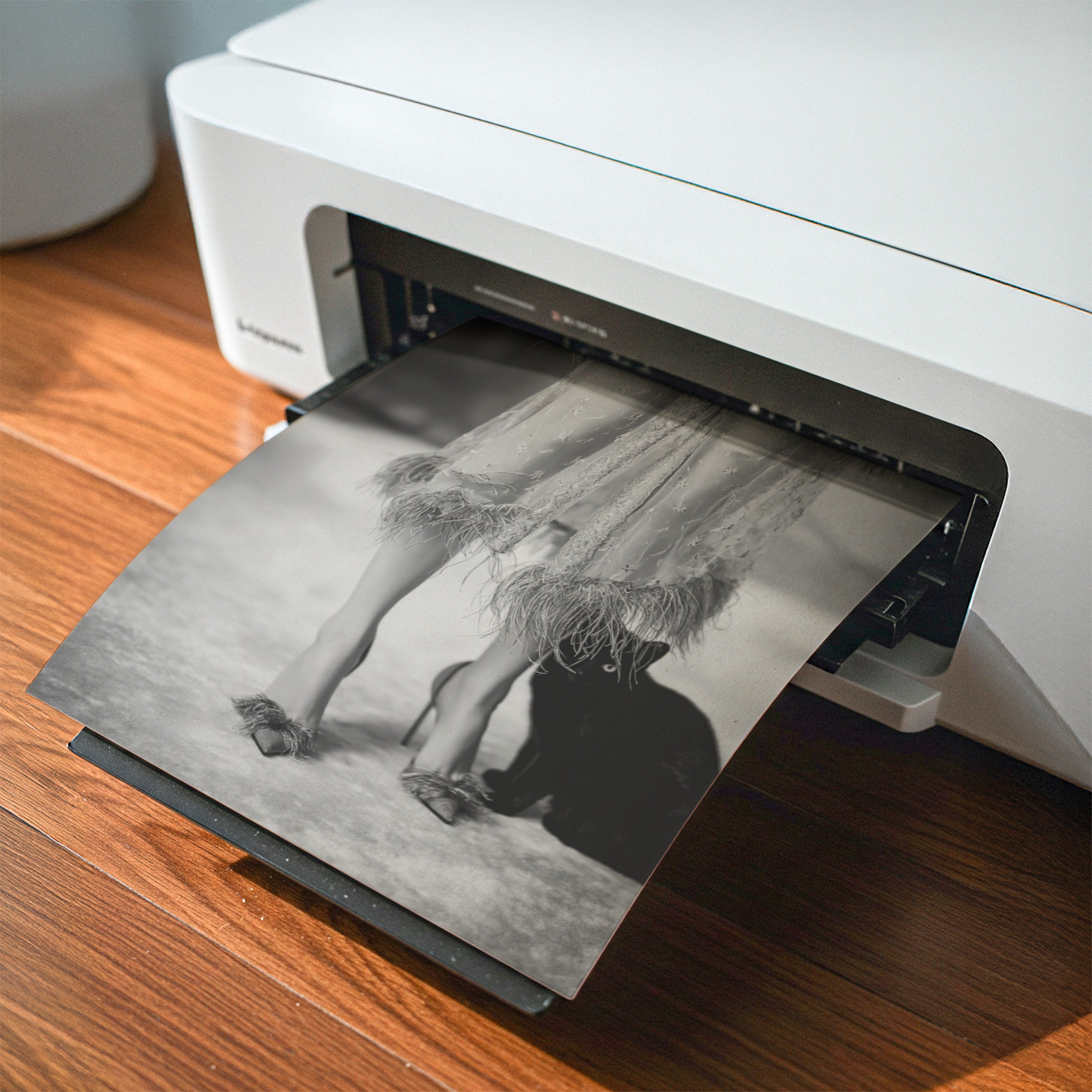 at home printer printing black and white poster print digital download
