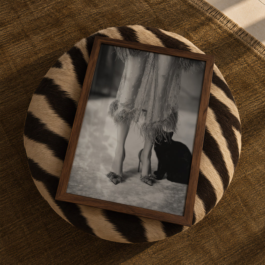 framed kitty kitty black and white poster print sitting on zebra ottoman