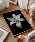 Lovely Lily - Black and White Wall Art | Floral Art Prints | Instant Printable Download or Physical Print