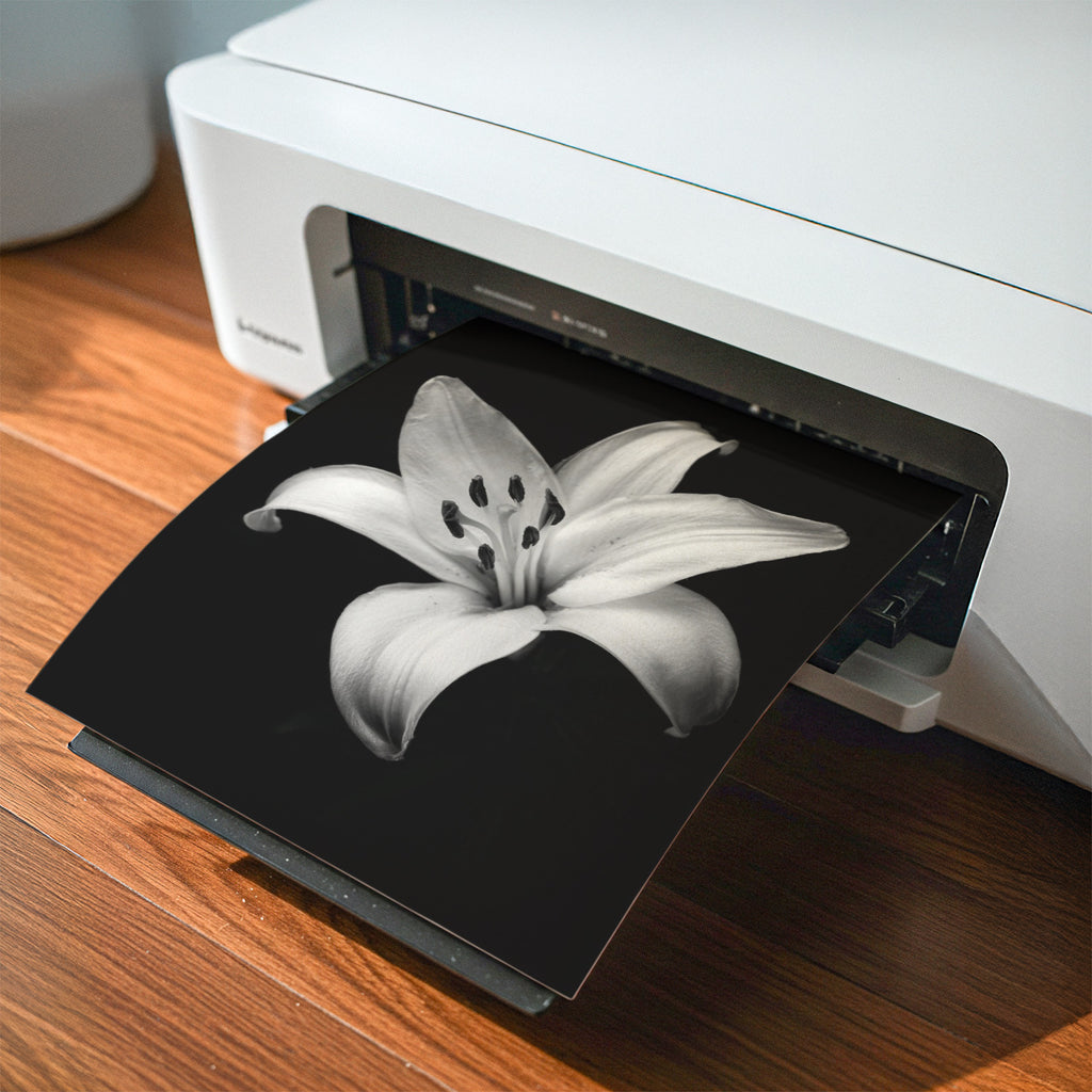 Lovely Lily - Black and White Wall Art | Floral Art Print | Instant Printable Download or Physical Print