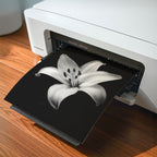 Lovely Lily - Black and White Wall Art | Floral Art Print | Instant Printable Download or Physical Print
