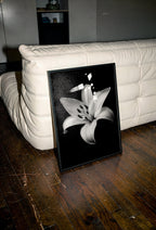 Framed black and white flower print on a wooden floor with a white couch in the background