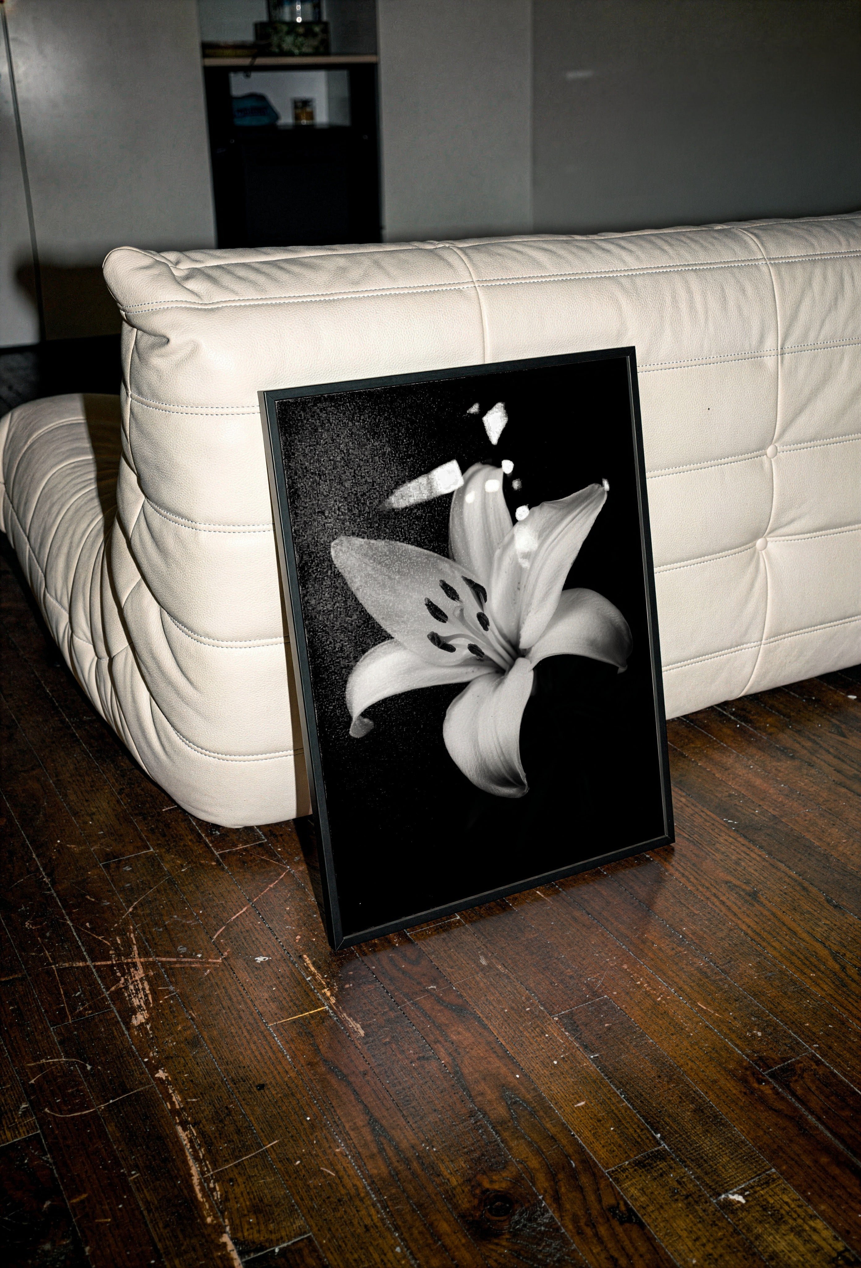 Framed black and white flower print on a wooden floor with a white couch in the background