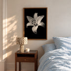 Lovely Lily - Black and White Wall Art | Floral Art Print | Instant Printable Download or Physical Print