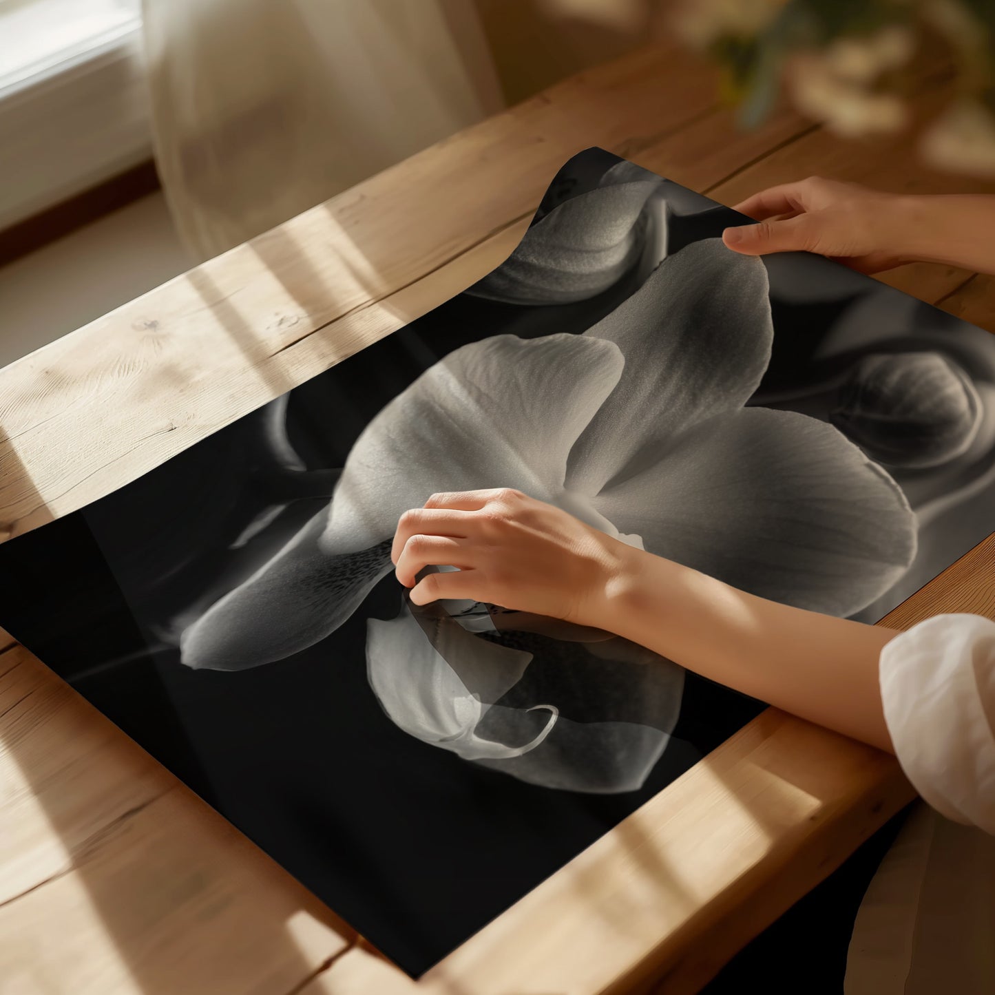 Delicate Orchid Part One - Black and White Poster Print | Monochrome Wall Art | Digital Download or Physical Print