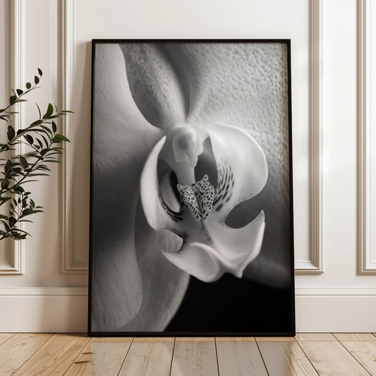 Delicate Orchid Part 2 - Black and White Poster Print | Monochrome Wall Art | Digital Download or Physical Print