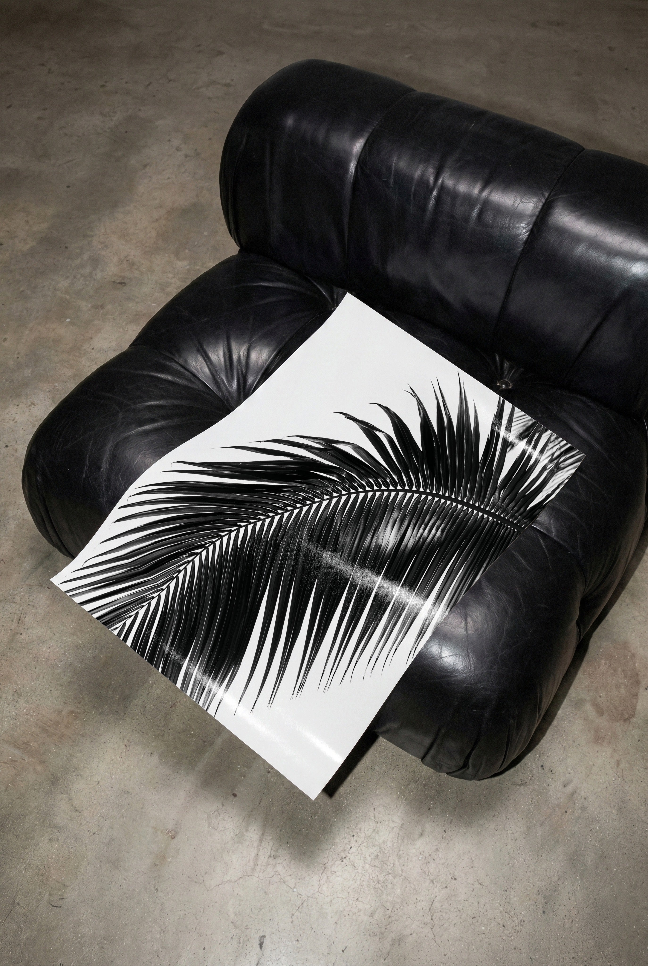 black and white paradise palm poster print on a black leather chair