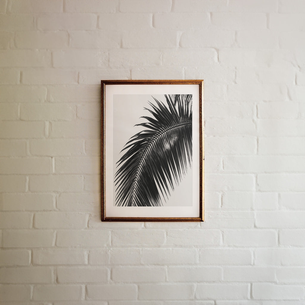 framed black and white paradise palm poster hanging on white brick wall