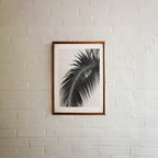 framed black and white paradise palm poster hanging on white brick wall