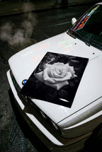 black and white floral poster print on hood of white car at night