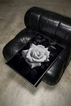 framed black and white rose poster print sitting on black leather chair