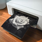 Rugged Rose -  Black and White Wall Art | Floral Art Print | Instant Printable Download or Physical Print