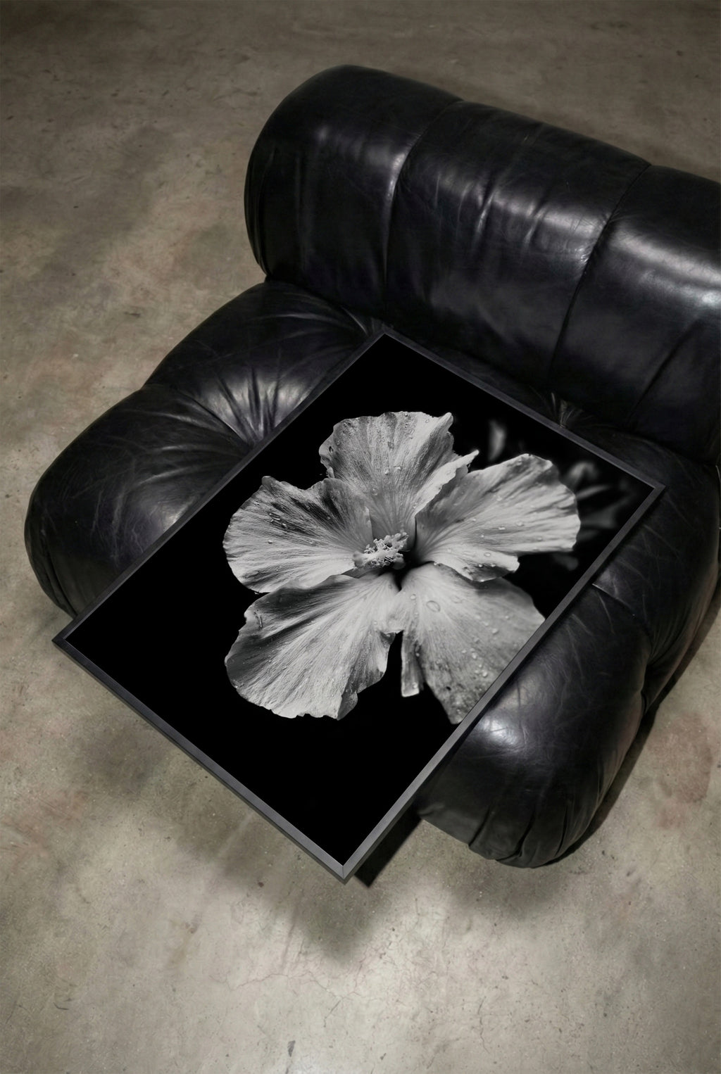 Black leather armchair with framed black and white tropical bloom floral wall art print on the seat