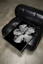 Black leather armchair with framed black and white tropical bloom floral wall art print on the seat
