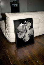Framed black and white tropical bloom floral wall art print on a wooden floor with a white couch in the background